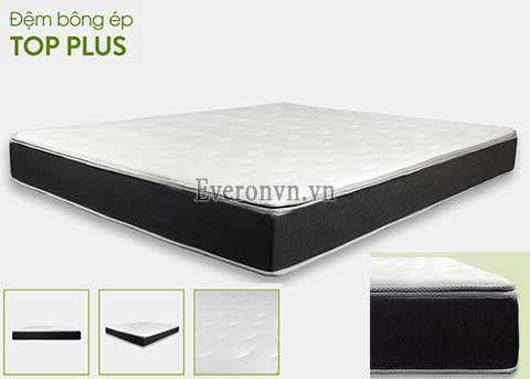 Đệm bông ép Top Plus